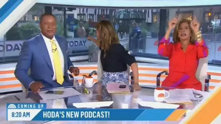 Ao vivo, homem pelado interrompe programa e choca apresentadores