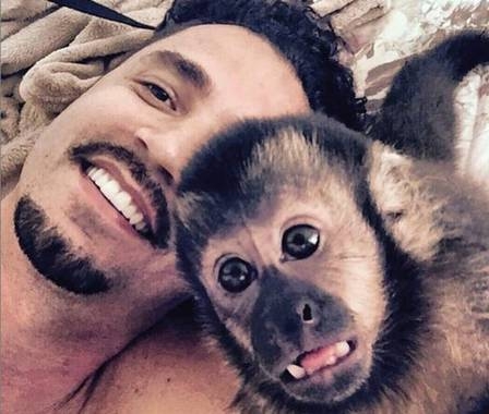 Para comemorar aniversário de macaco de estimação Latino o tatua no braço