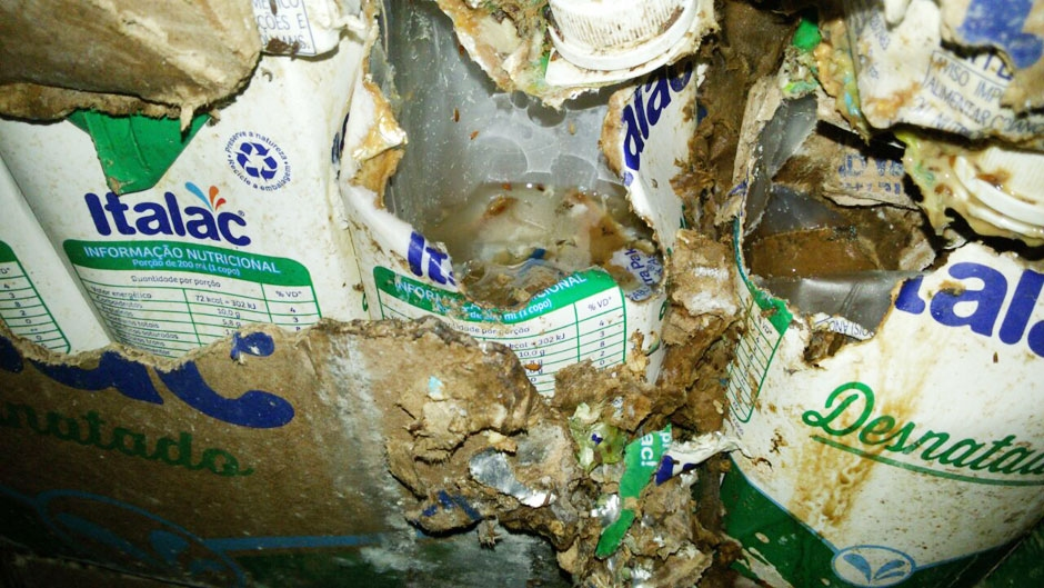 Depósito é interditado após fiscais encontrarem 3 mil litros de leite podre