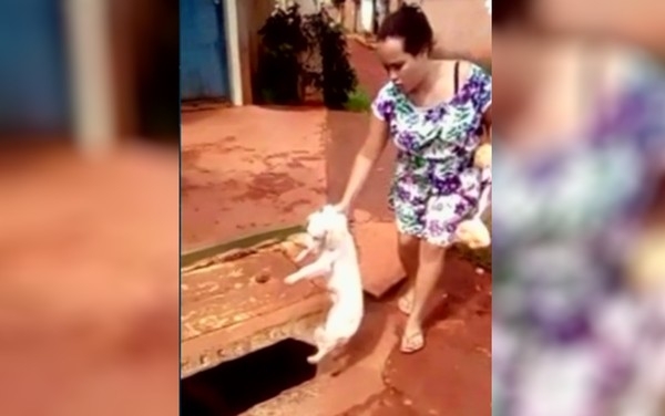 Mulher joga cachorro em bueiro no Novo Gama. Veja o vídeo