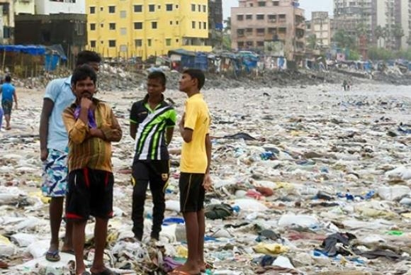 Plástico na cadeia alimentar pode chegar indiretamente à comida humana