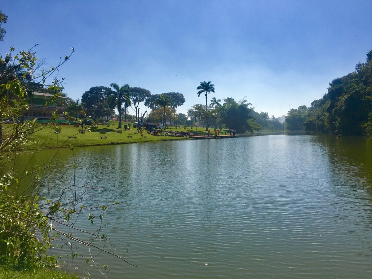 Prefeitura de Goiânia lança o programa Amigo Verde