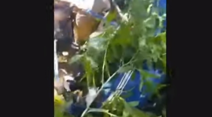 Queda de helicóptero deixa dois mortos no ES