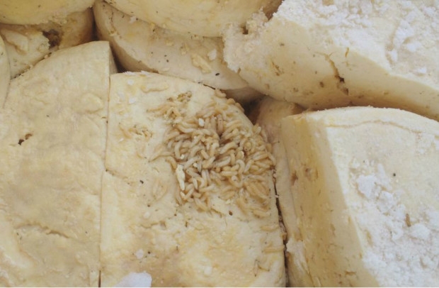 Vereador de Caldazinha é preso por comercializar queijo impróprio para o consumo