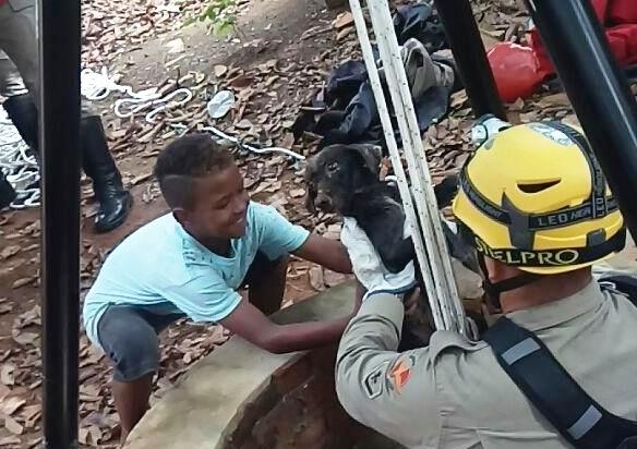 Bombeiro resgata cão que caiu em fosso de 10 metros