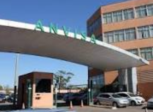 Anvisa atribui certificado de boas práticas a empresas comprometidas com vacina da Pfizer