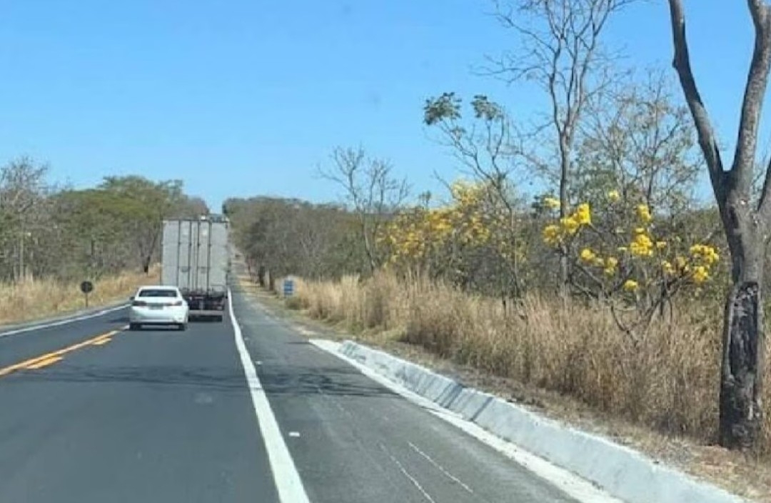 Homem morre após colidir contra carreta em Bom Jesus (GO)