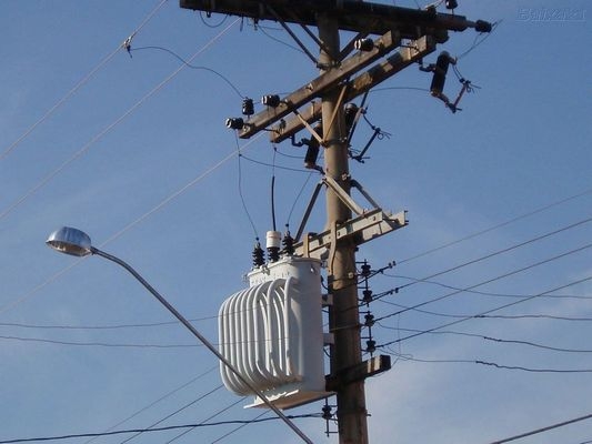 Eletricista morre ao tentar tirar caixa de abelhas de poste
