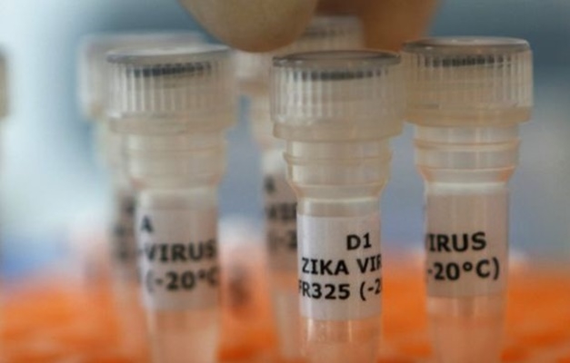 OMS afirma que a vacina contra Zika não chegará a tempo para conter o surto