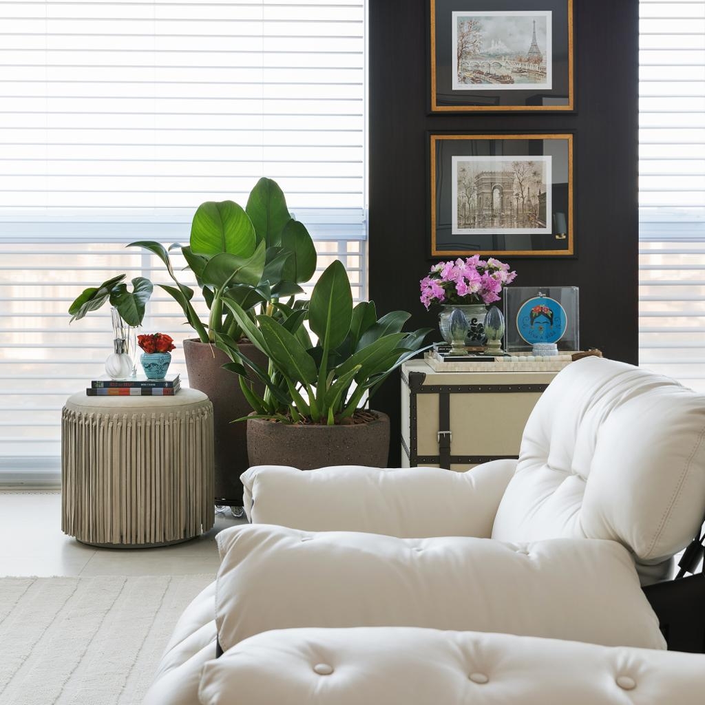 Você é um amante da natureza? Conheça 5 opções de plantas para decorar o interior da sua casa!