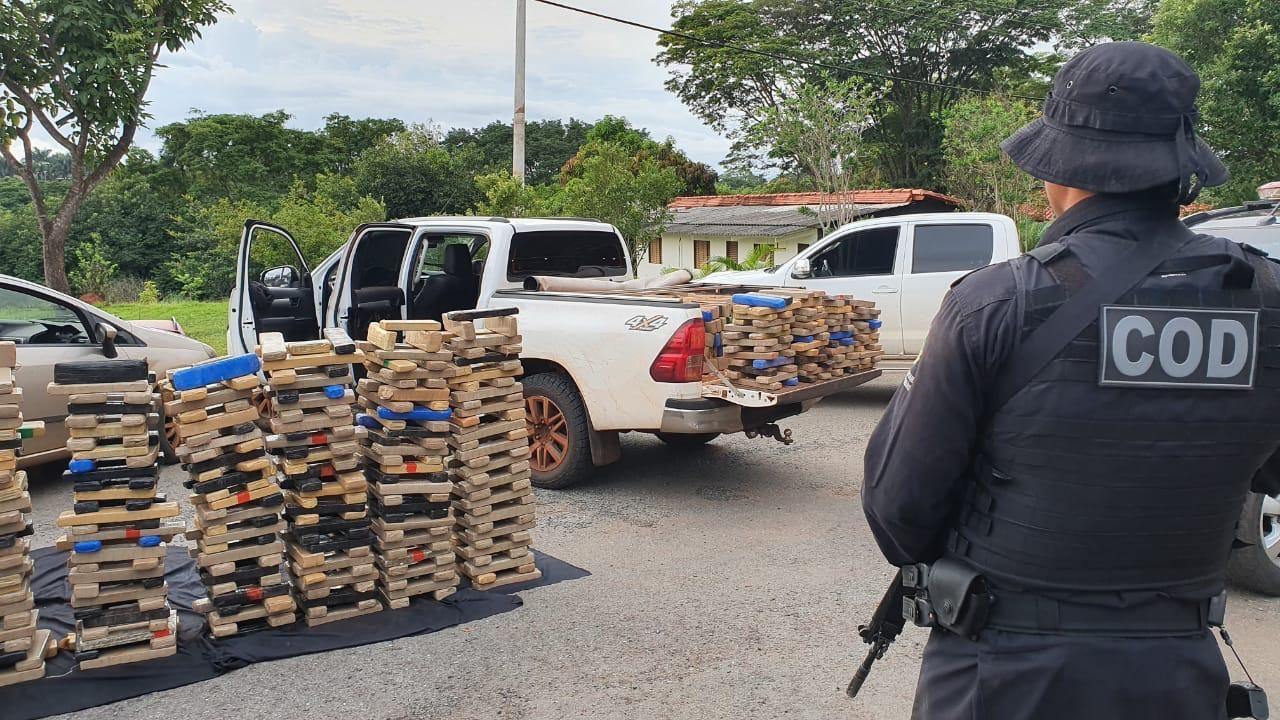 Polícia apreende mais de uma tonelada de maconha que seria comercializada em carnaval no DF