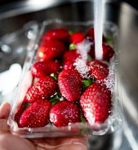 Saiba como higienizar alimentos, embalagens e sacolas