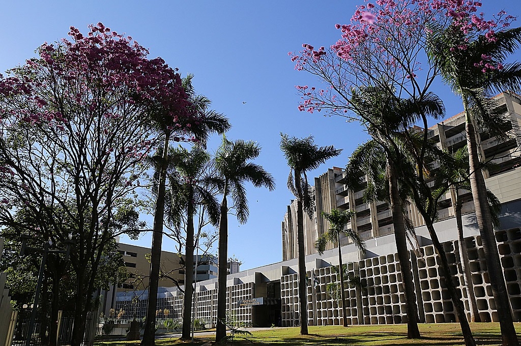 TJGO homologa licitação para instalação de energia solar em 43 unidades judiciárias do Estado
