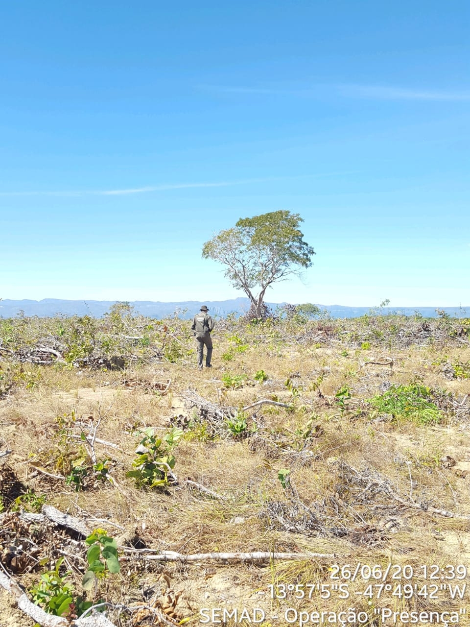 Nova ação encontra mais de mil hectares de desmatamento em propriedade rural de Cavalcante