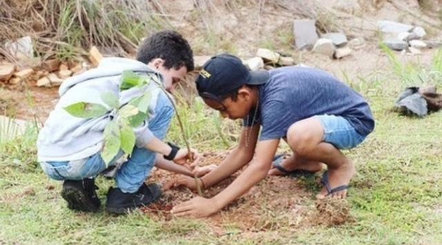 Projeto Plante uma Árvore conscientiza sobre a importância da preservação do  meio ambiente em Luziânia