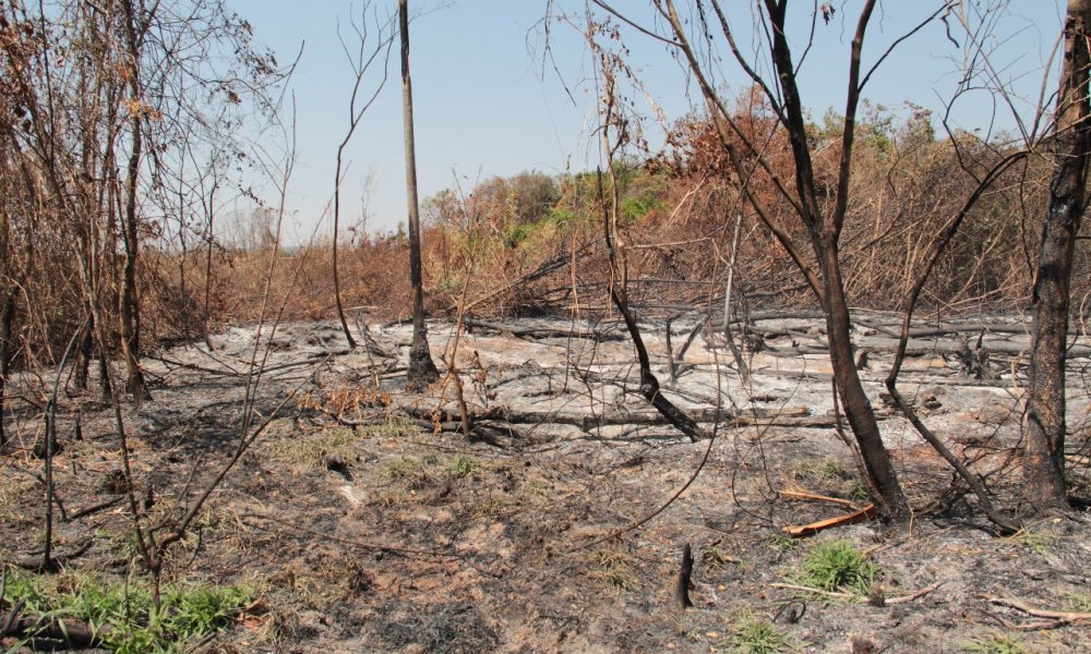Governo exclui Inpe de divulgação de dados sobre queimadas e incêndios no País