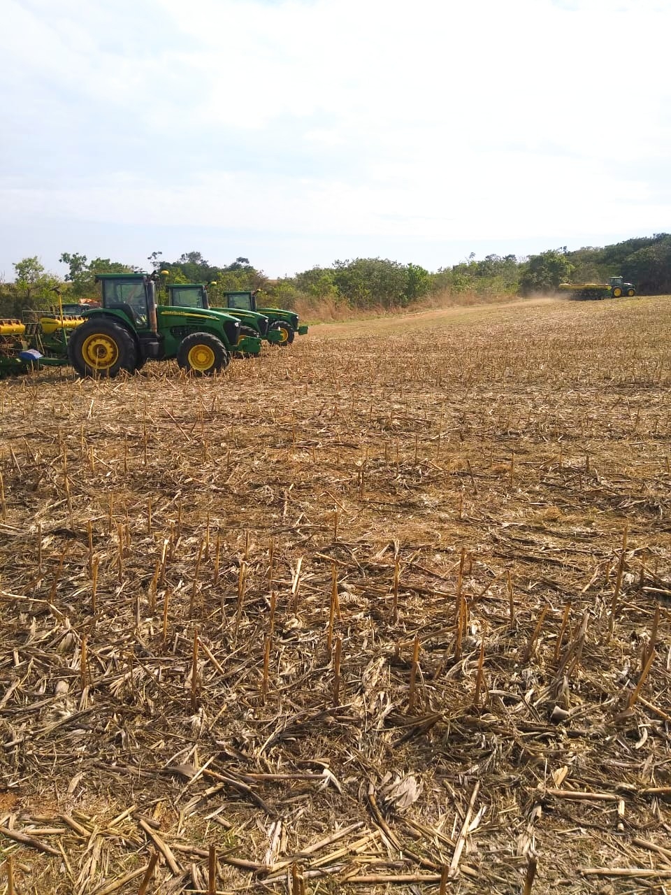 Em Goiás, mais de 60 mil hectares tiveram utilização de pó de rocha 