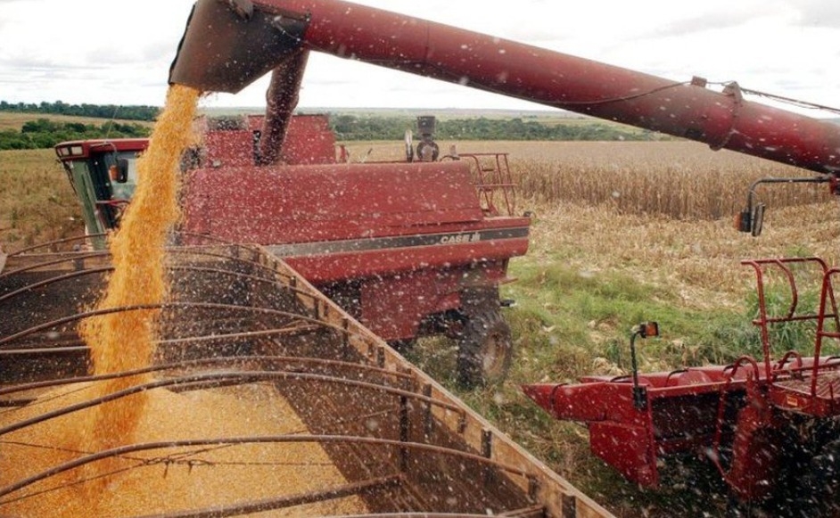 Agropecuária tem apoio  de R$251,22 bilhões