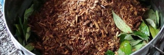 Ayahuasca no tratamento de ansiedade social