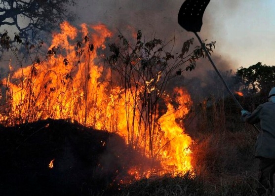 Rio Verde atende apelo de produtores