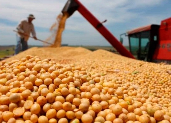 As cidades exportadoras de Goiás