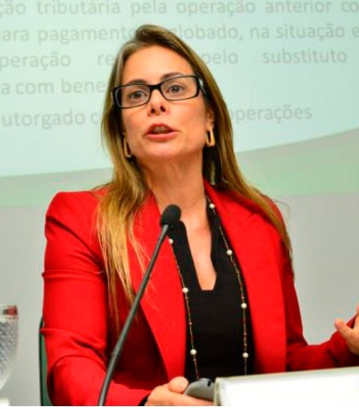 Goiás no RRF da União  permite controle de contas