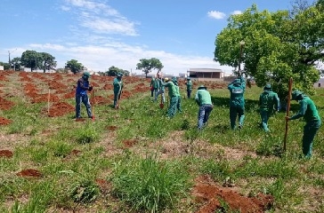 Novos plantios em parques Macambira e Cascavel