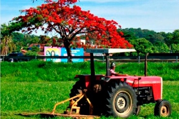 Trindade recebe limpeza e serviços de tapa-buracos