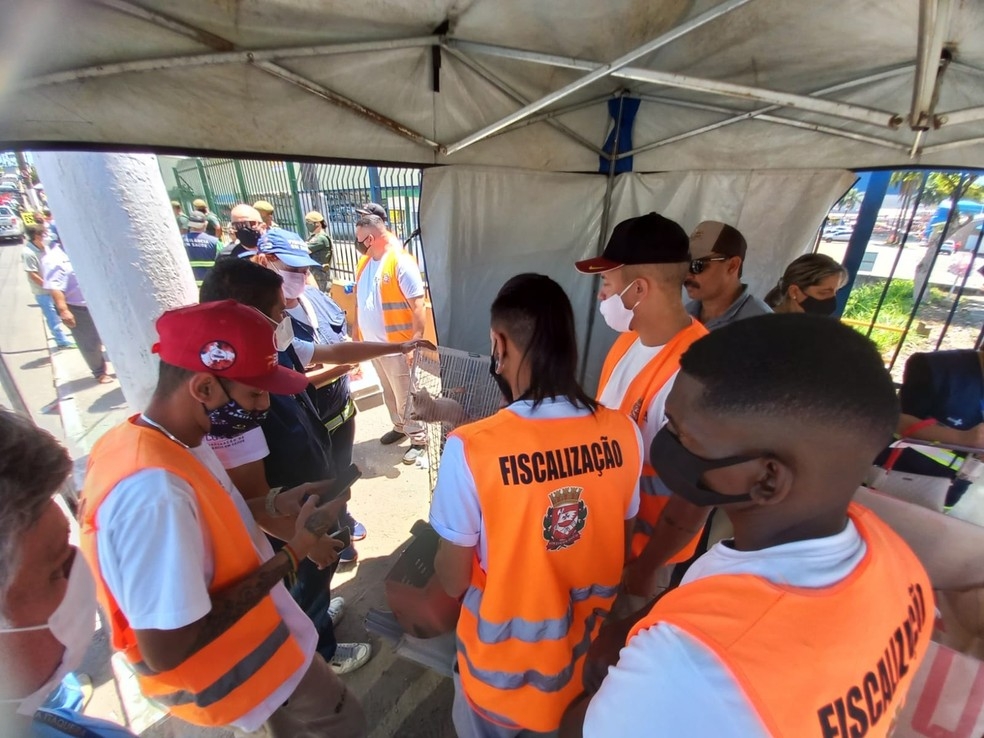 Secretaria Municipal de Saúde e mais de 100 profissionais realizam resgate de animais em feira na Zona Leste de São Paulo
