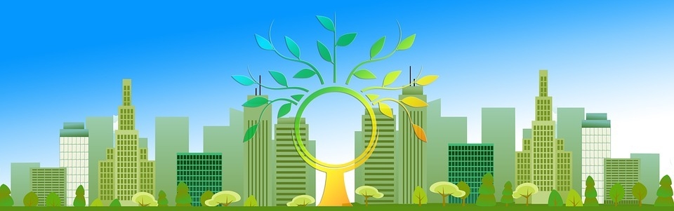 Urbanização requer  transformações sustentáveis