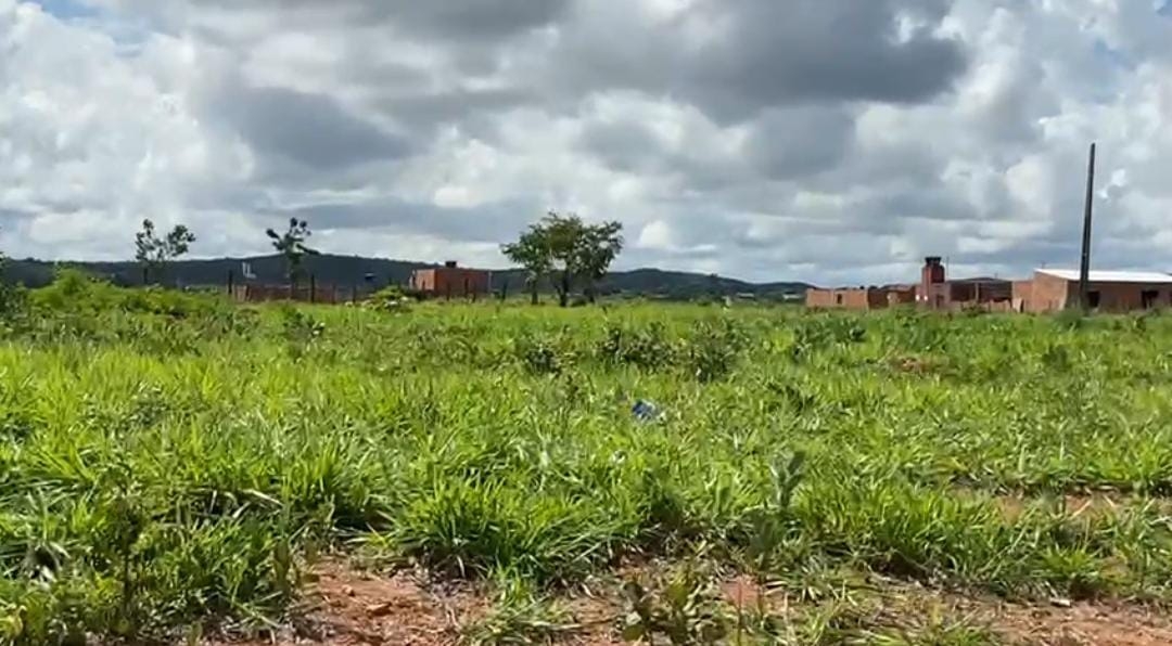 Moradores do Setor Jardim dos Ipês reivindicam fornecimento de energia elétrica