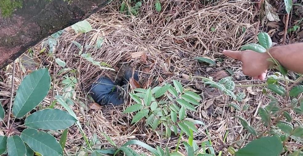 Polícia encontra corpos de mãe e filha desaparecidas