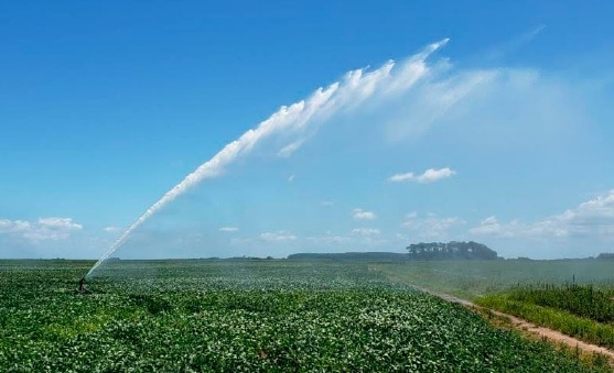 Produtores cobram apoio à irrigação