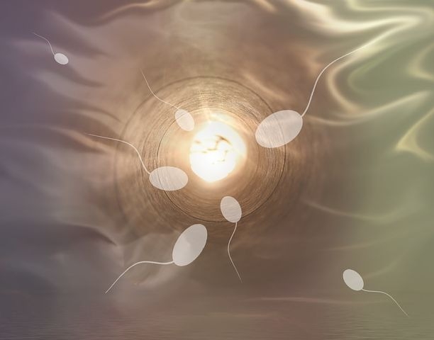 Mais de 8 milhões de mulheres se tornaram mães por meio da Fertilização in Vitro