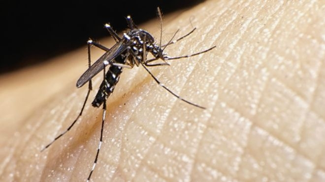 Primeiro caso de Zika é confirmado em gestante em Aparecida de Goiânia