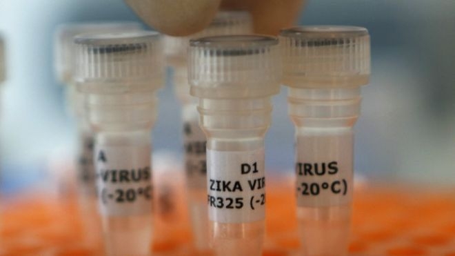 Planos de saúde são obrigados a pagar exames do vírus Zika a partir desta quarta