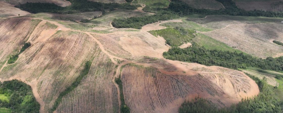 EUA enfrentam crise de terras raras após restrições chinesas