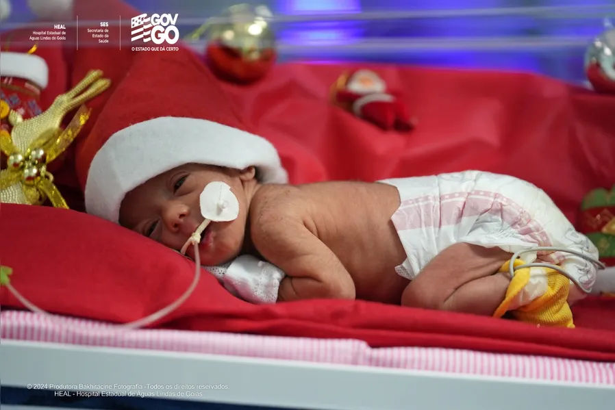Natal Encantado no HEAL: recém-nascidos ganham gorrinhos e sessão fotográfica