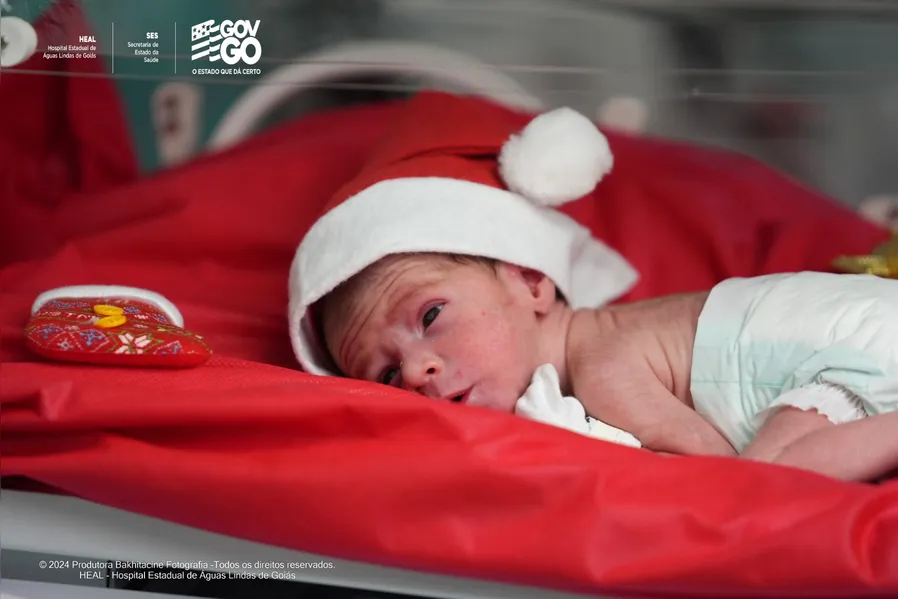 Natal Encantado no HEAL: recém-nascidos ganham gorrinhos e sessão fotográfica