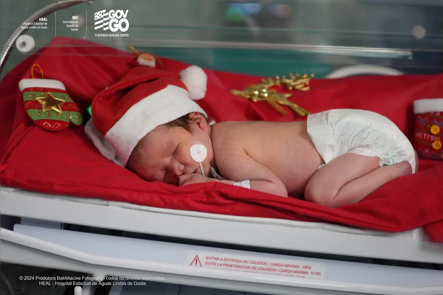 Natal Encantado no HEAL: recém-nascidos ganham gorrinhos e sessão fotográfica
