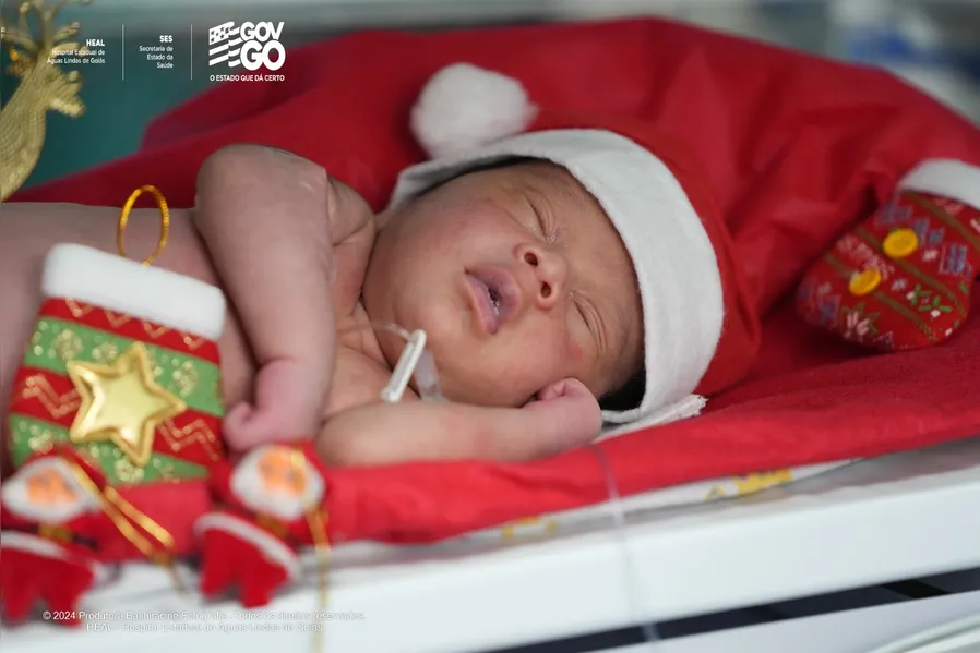 Natal Encantado no HEAL: recém-nascidos ganham gorrinhos e sessão fotográfica