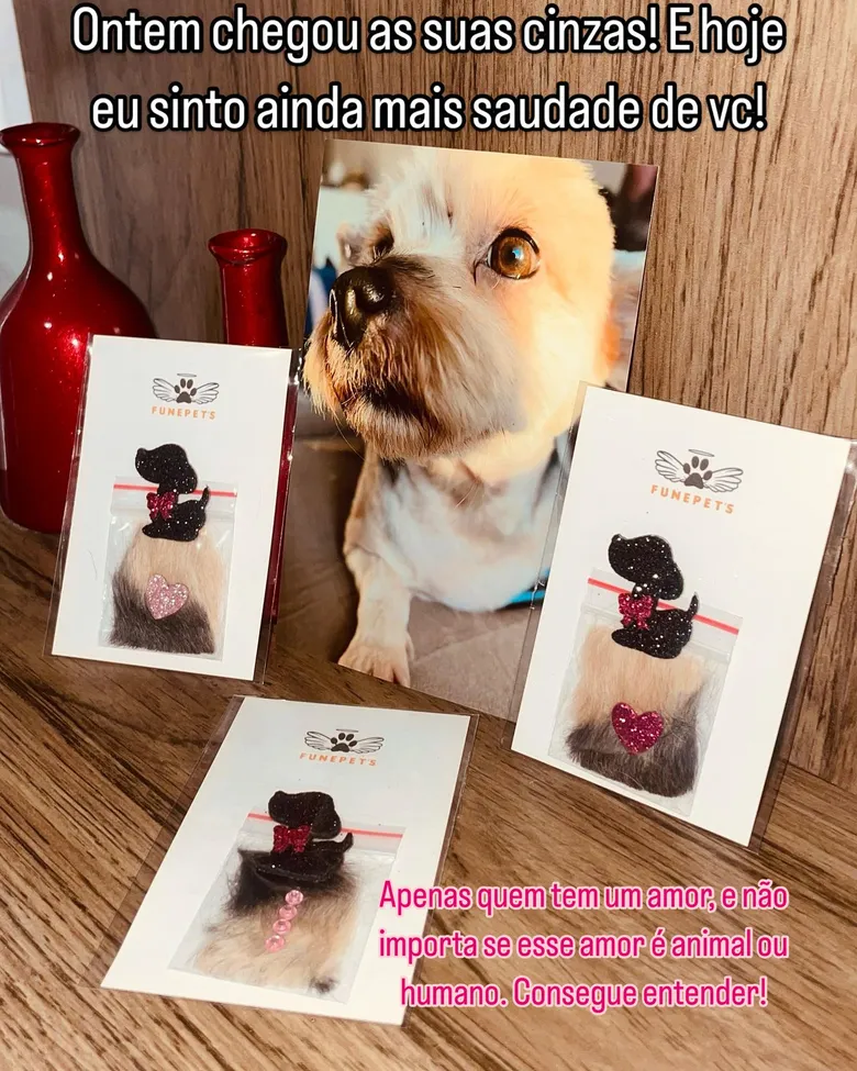 
		“Você chegou bem aí em cima?”: Livro aborda a dor do luto após a perda de um pet