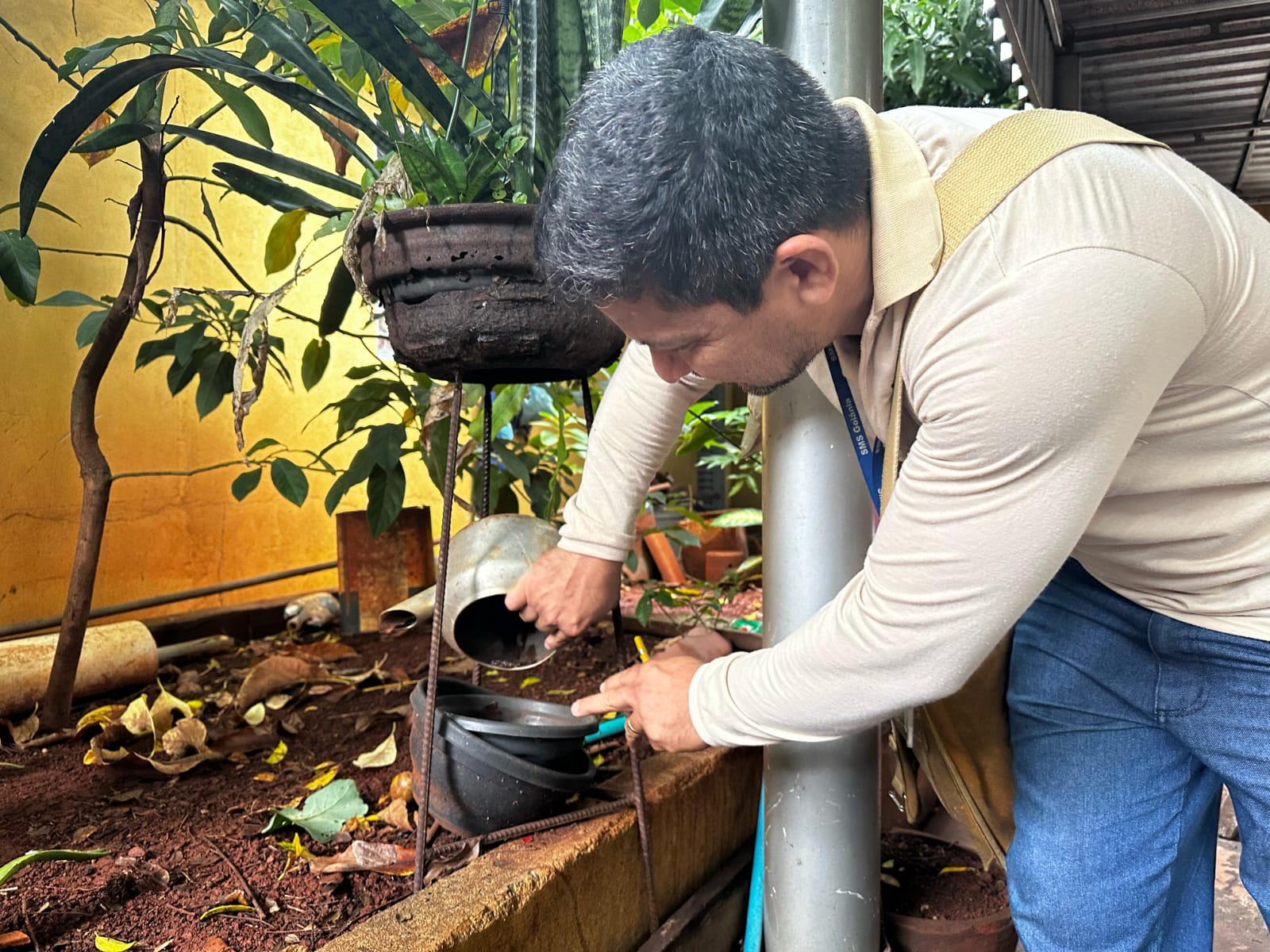 Feriadão é oportunidade para deixar a casa em ordem e combater focos de dengue