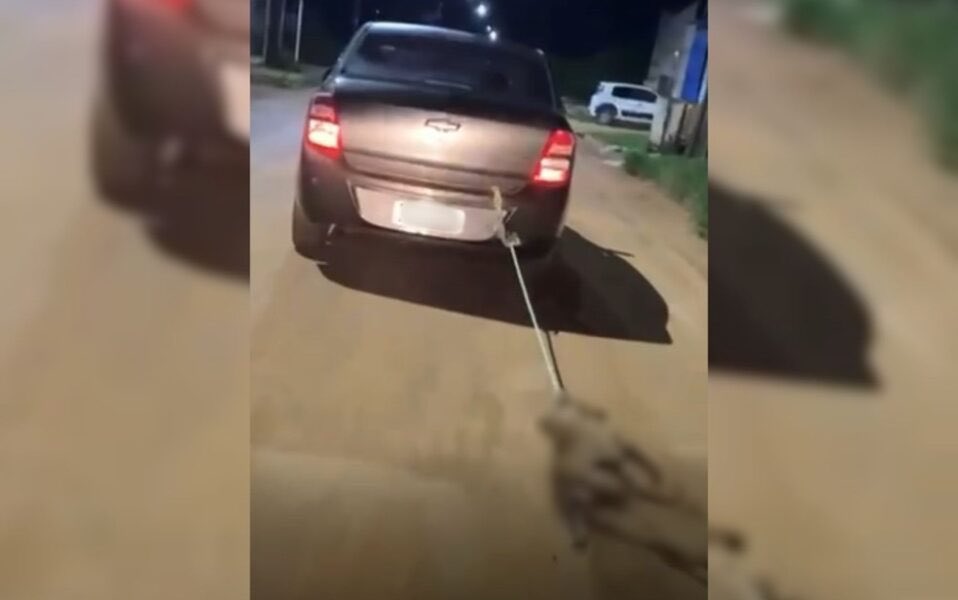 Corpo de cachorro morto a marretadas é arrastado pelas ruas de Águas Lindas