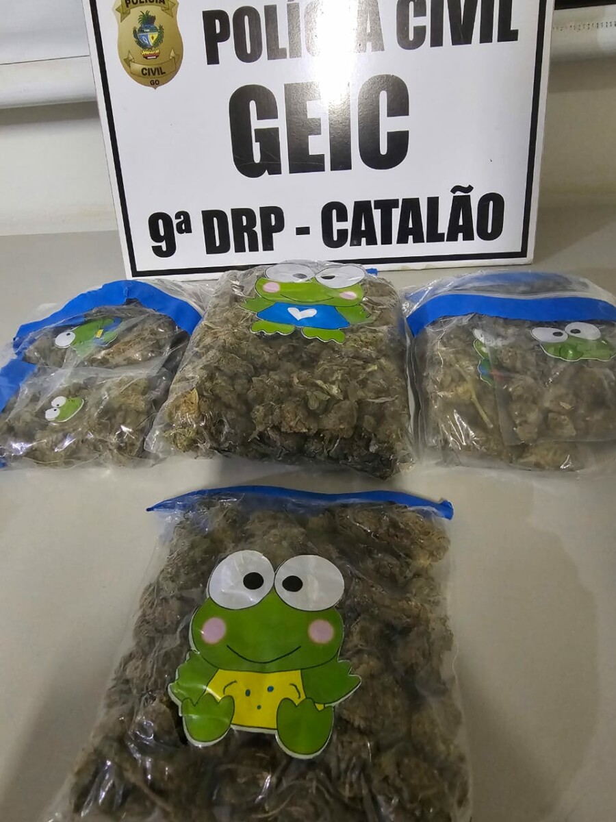 PCGO apreende super maconha e prende homem em flagrante em Catalão