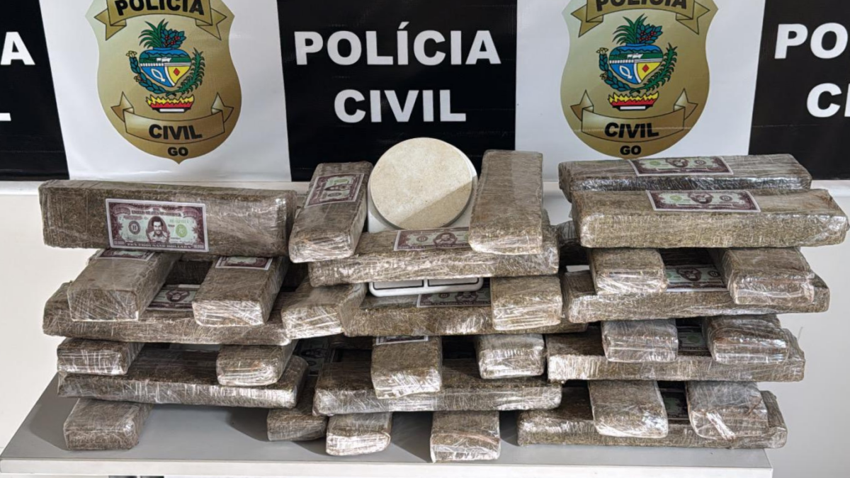 PCGO apreende quase 40 kg de maconha e prende suspeito por tráfico em Catalão