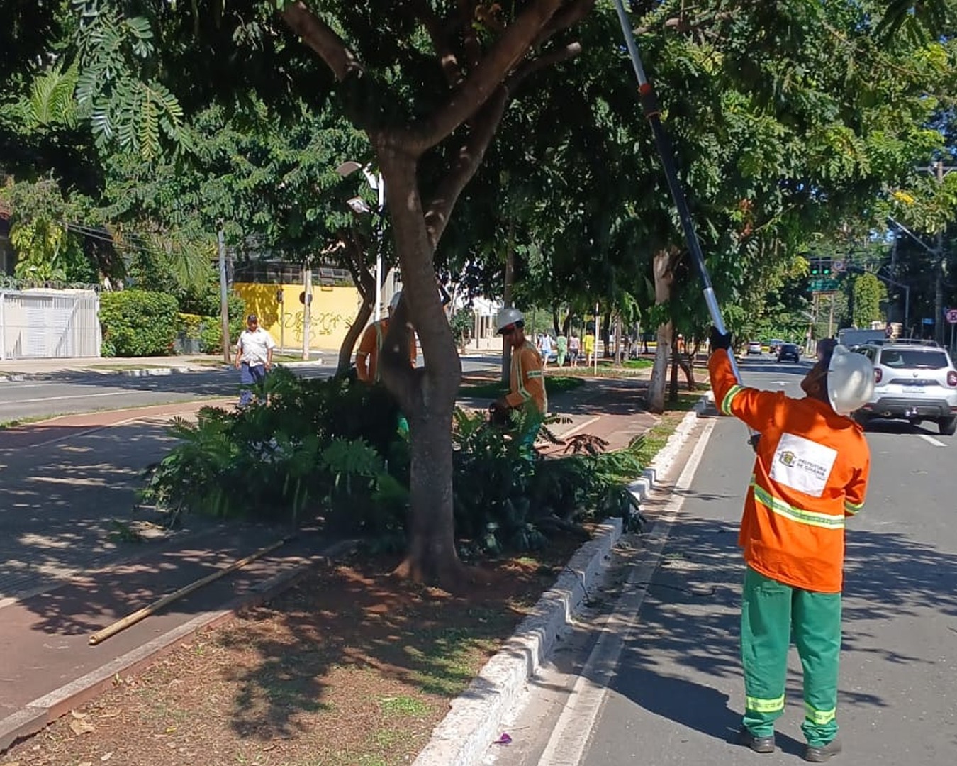 Comurg realiza ampla ação de poda de limpeza de árvores durante o mês de maio