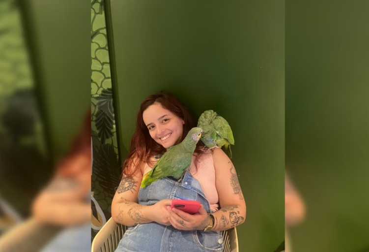 O 1º Juizado Especial Criminal de Brasília acolheu os argumentos da defesa e concedeu tutela antecipada