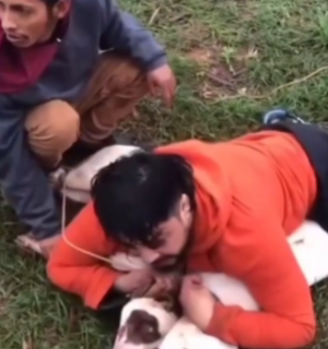 Lutador imobiliza dois pitbulls em luta dramática após ataque durante treino em via pública