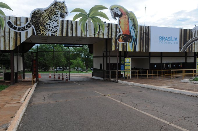 Exame confirma caso de gripe aviária em zoológico de Brasília